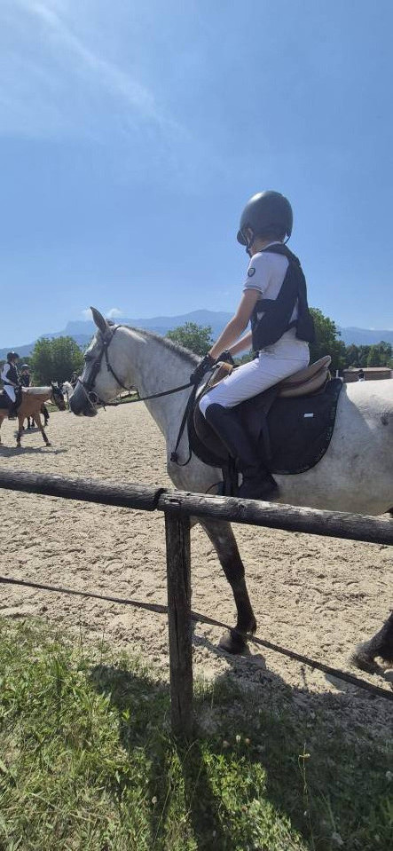 Ruin Connemara Te koop 2022 Schimmel ,  CAISLEAN GEARR MALACHI