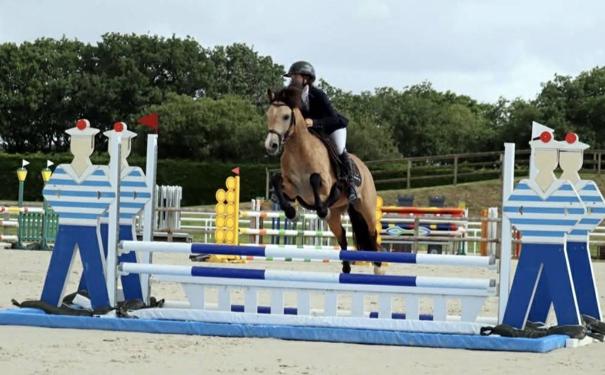 Hengst Franse rijpony PFS Te koop 2020 Isabel