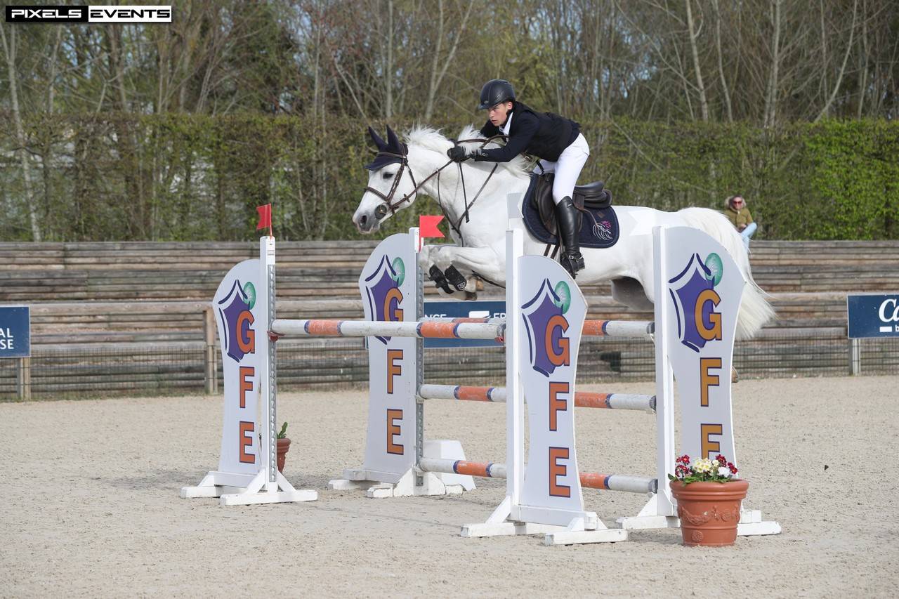 Dekhengst Franse rijpony PFS Te koop 2017 Schimmel ,  CONSUL DE LA VIE Z