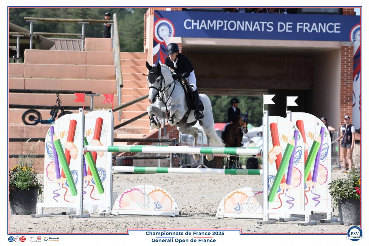 Dekhengst Franse rijpony PFS Te koop 2017 Schimmel ,  CONSUL DE LA VIE Z