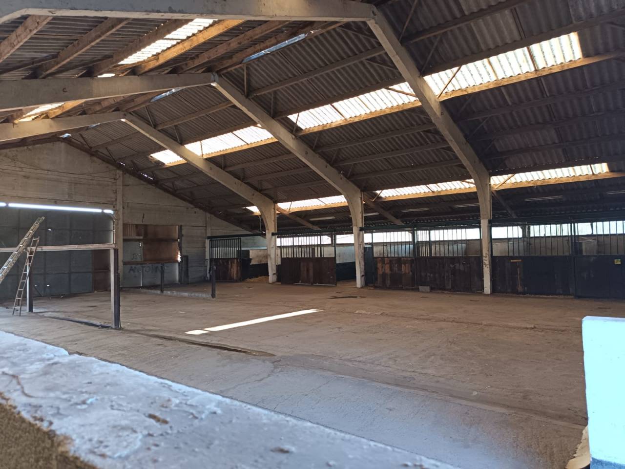 Mooi hippisch vastgoed Koop Hainaut