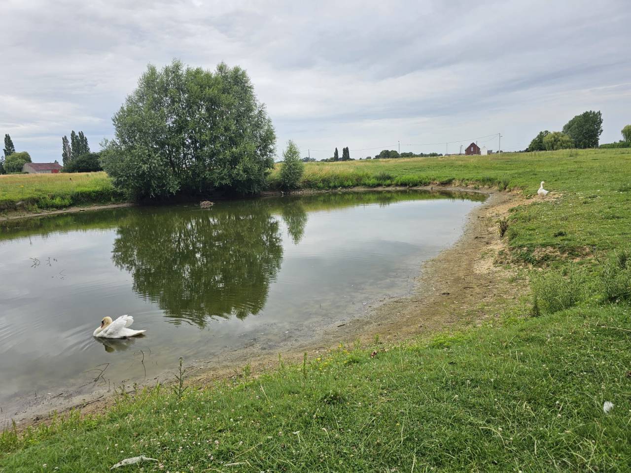 Mooi hippisch vastgoed Koop Hainaut