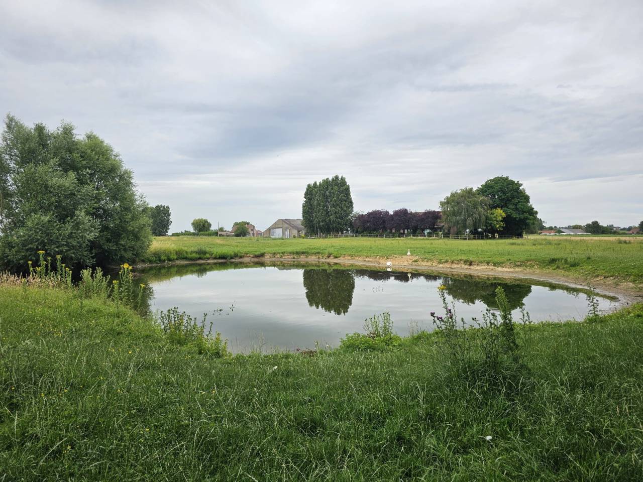 Mooi hippisch vastgoed Koop Hainaut