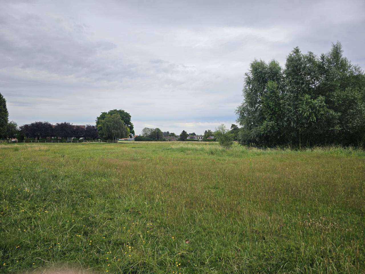 Mooi hippisch vastgoed Koop Hainaut