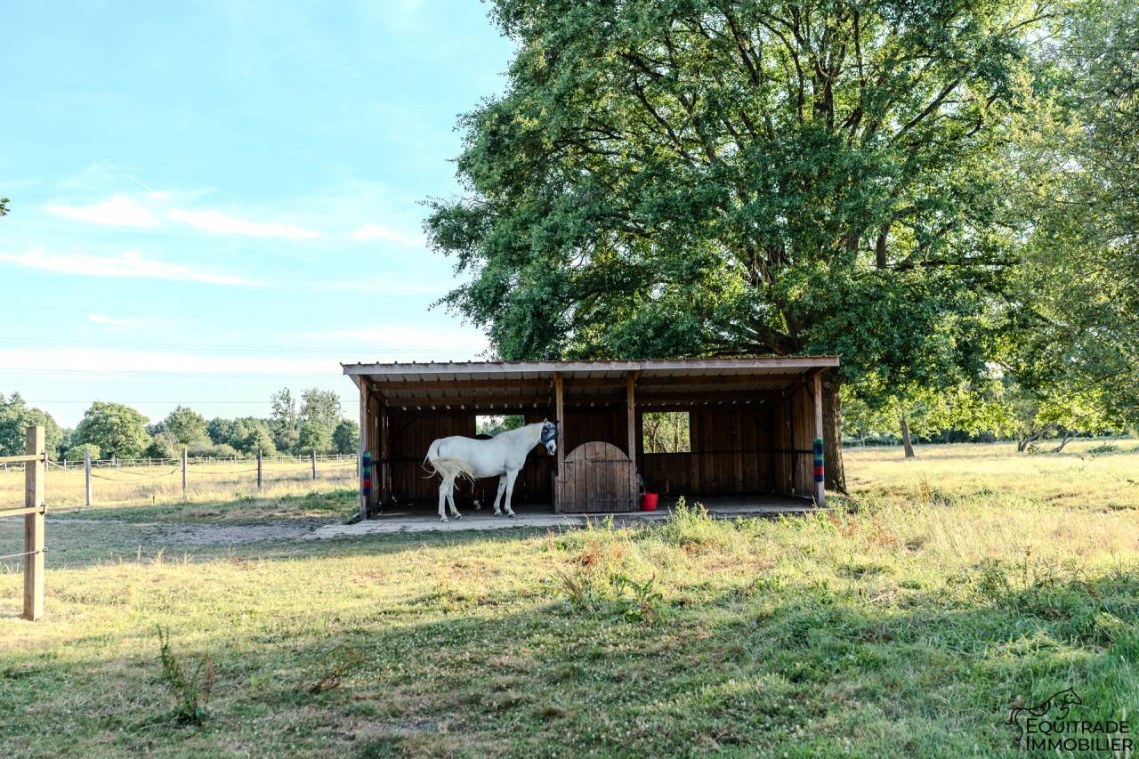 Mooi hippisch vastgoed Koop Sarthe