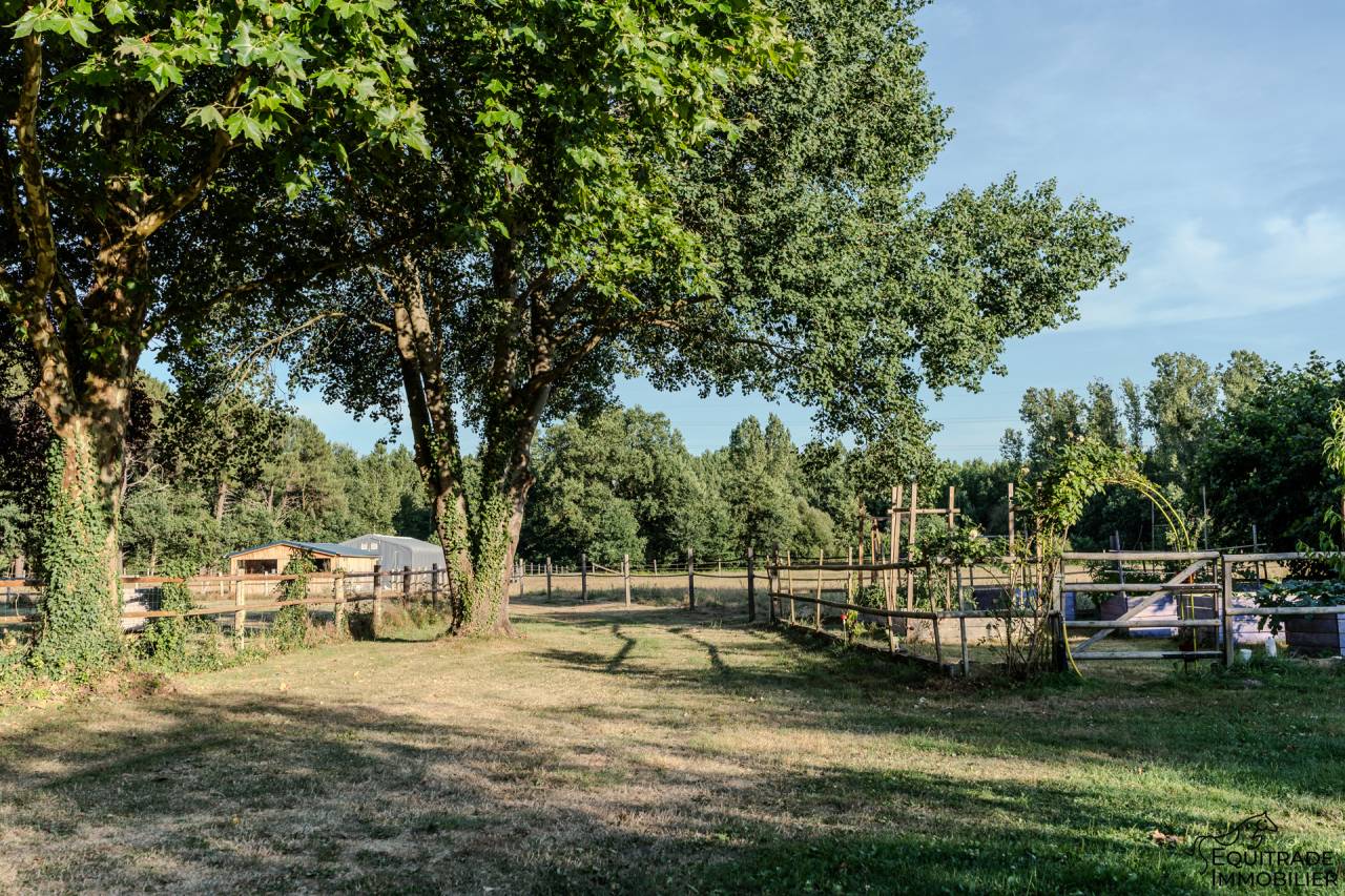 Mooi hippisch vastgoed Koop Sarthe