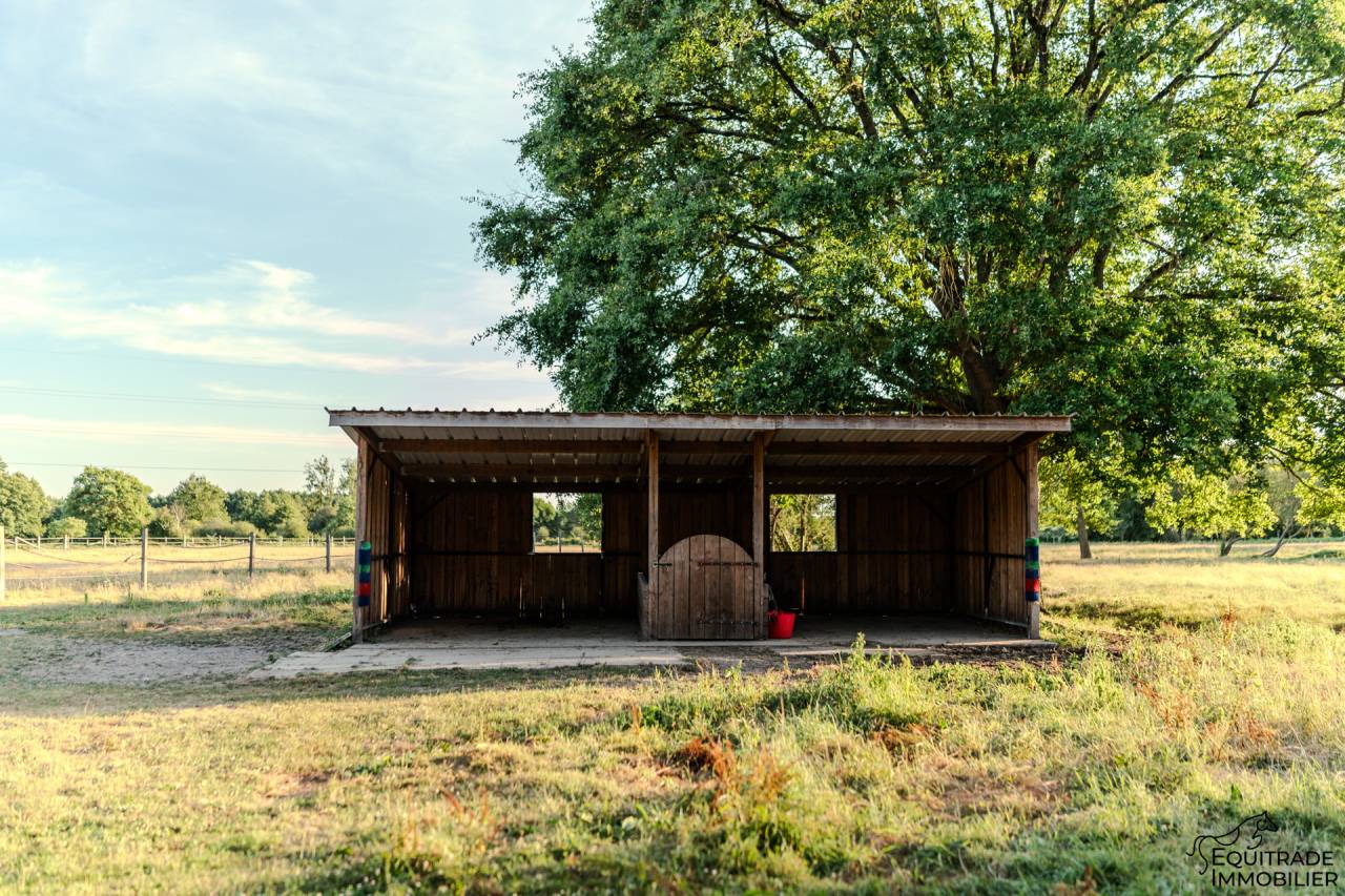 Mooi hippisch vastgoed Koop Sarthe