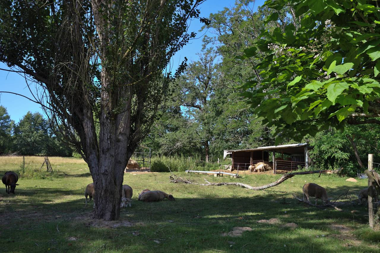 Hippisch vastgoed Koop Gironde