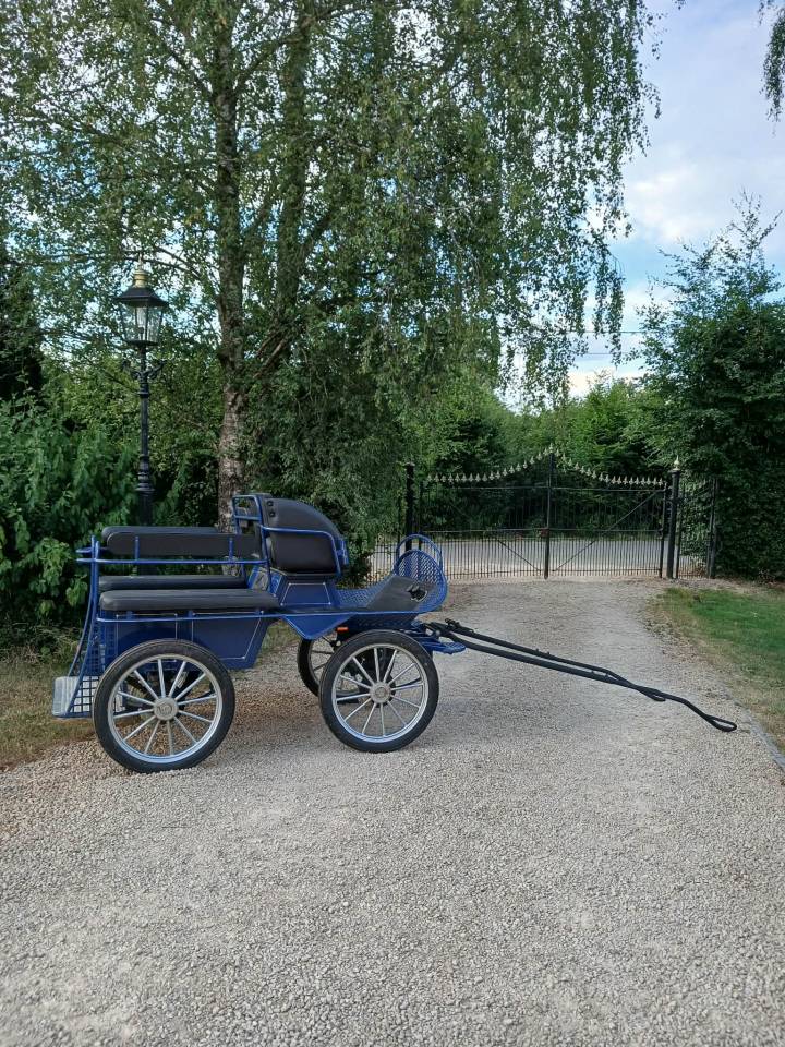 Rijtuigen - Cal&egrave;che   