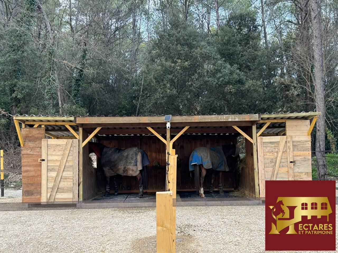 Paarden accommodatie Koop Var