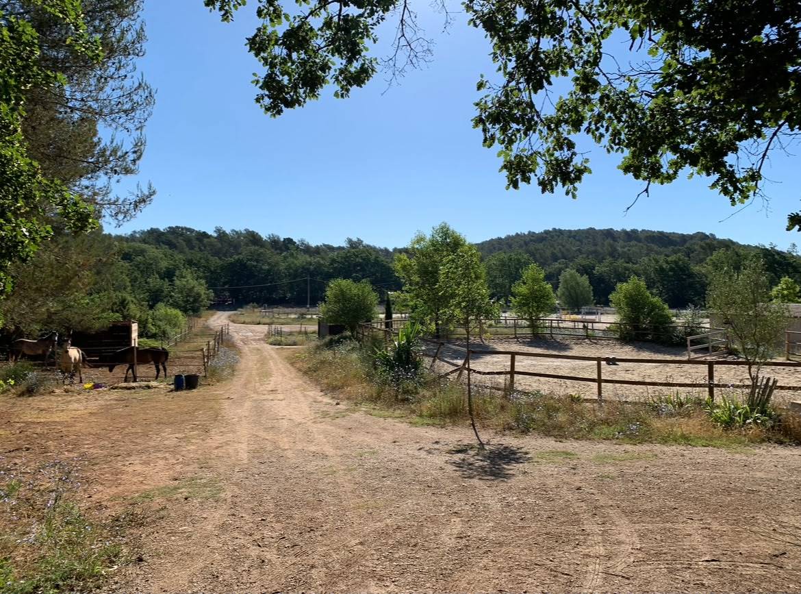 Paarden accommodatie Koop Var