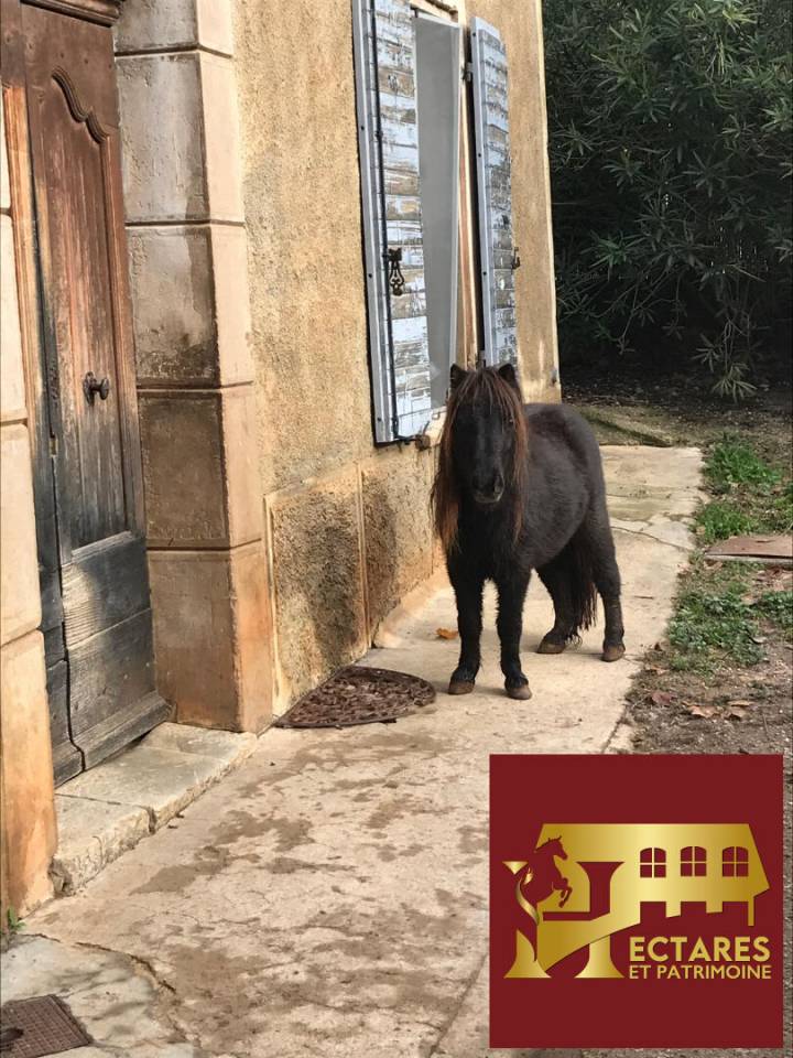 Paarden accommodatie Koop Var