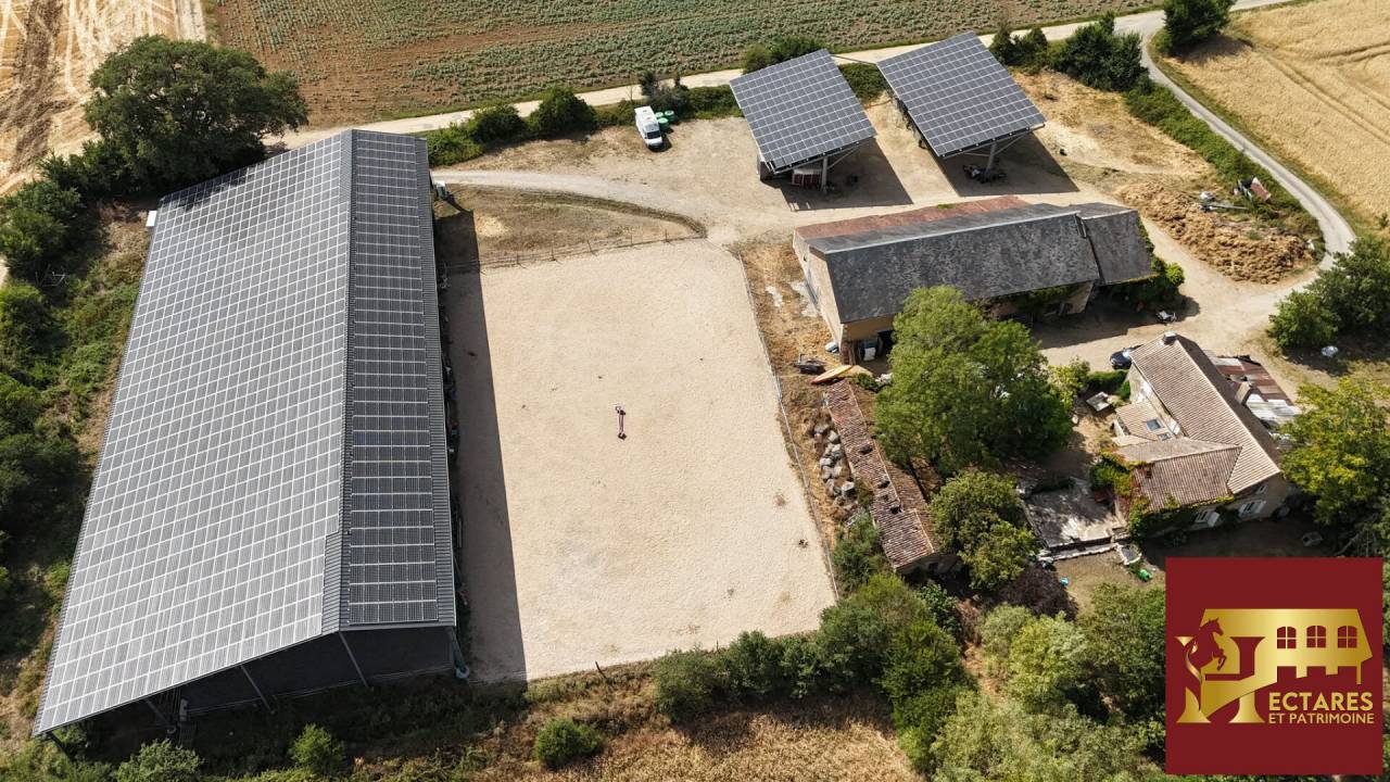 Hippisch vastgoed Koop Vienne