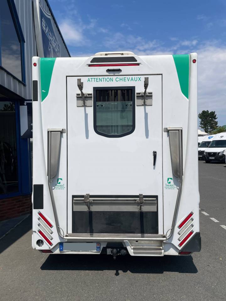 Kleine paardenvrachtwagen (B rijbewijs) Theault master 2023 Tweedehands