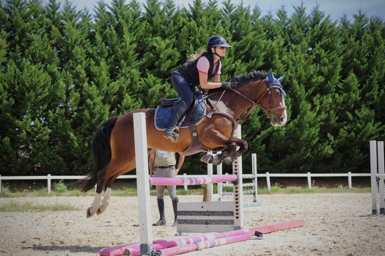 Merrie Franse rijpony PFS Te koop 2022 Donker bruin / bai ,  OPPLALA ST HYMER