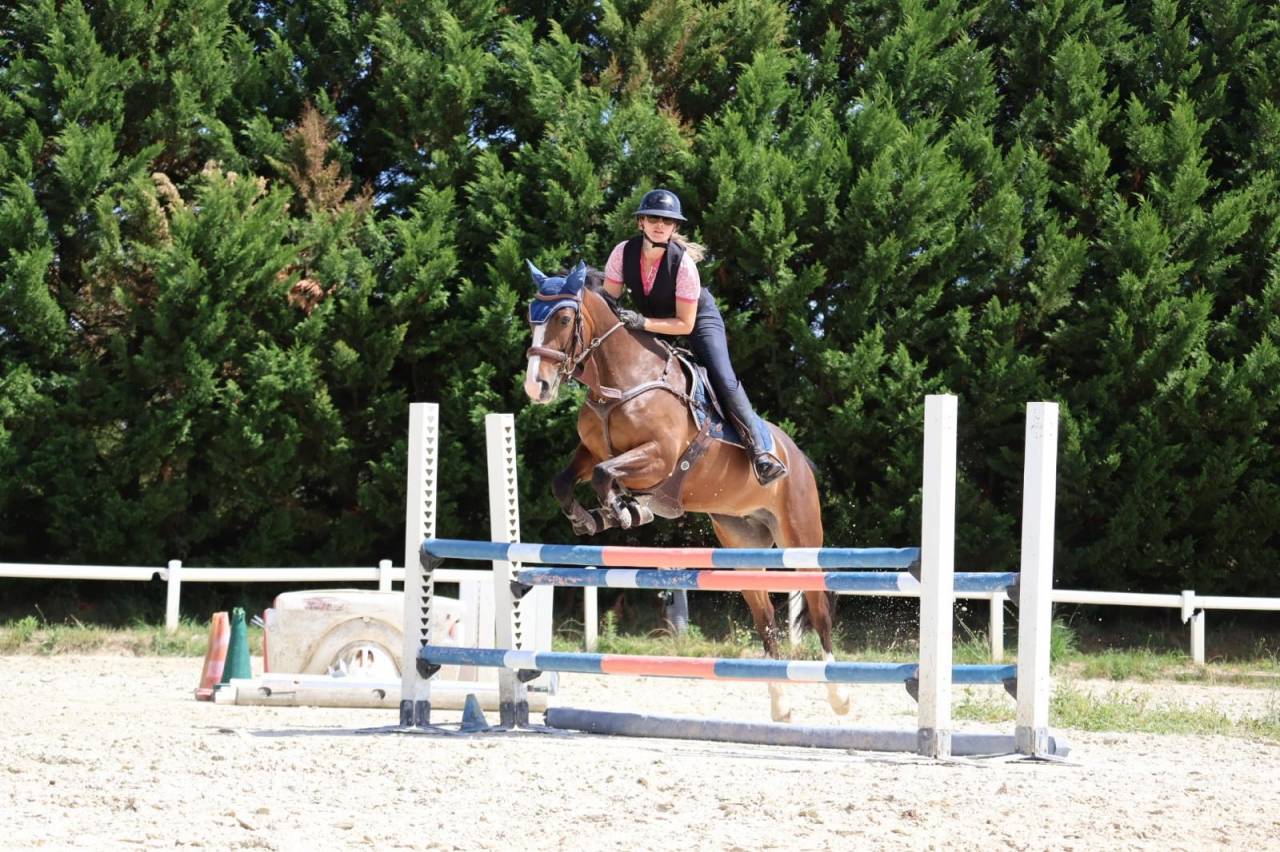 Merrie Franse rijpony PFS Te koop 2022 Donker bruin / bai ,  OPPLALA ST HYMER