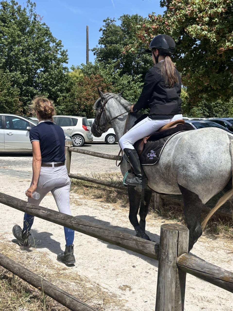 Merrie Connemara Te koop 2021 Schimmel