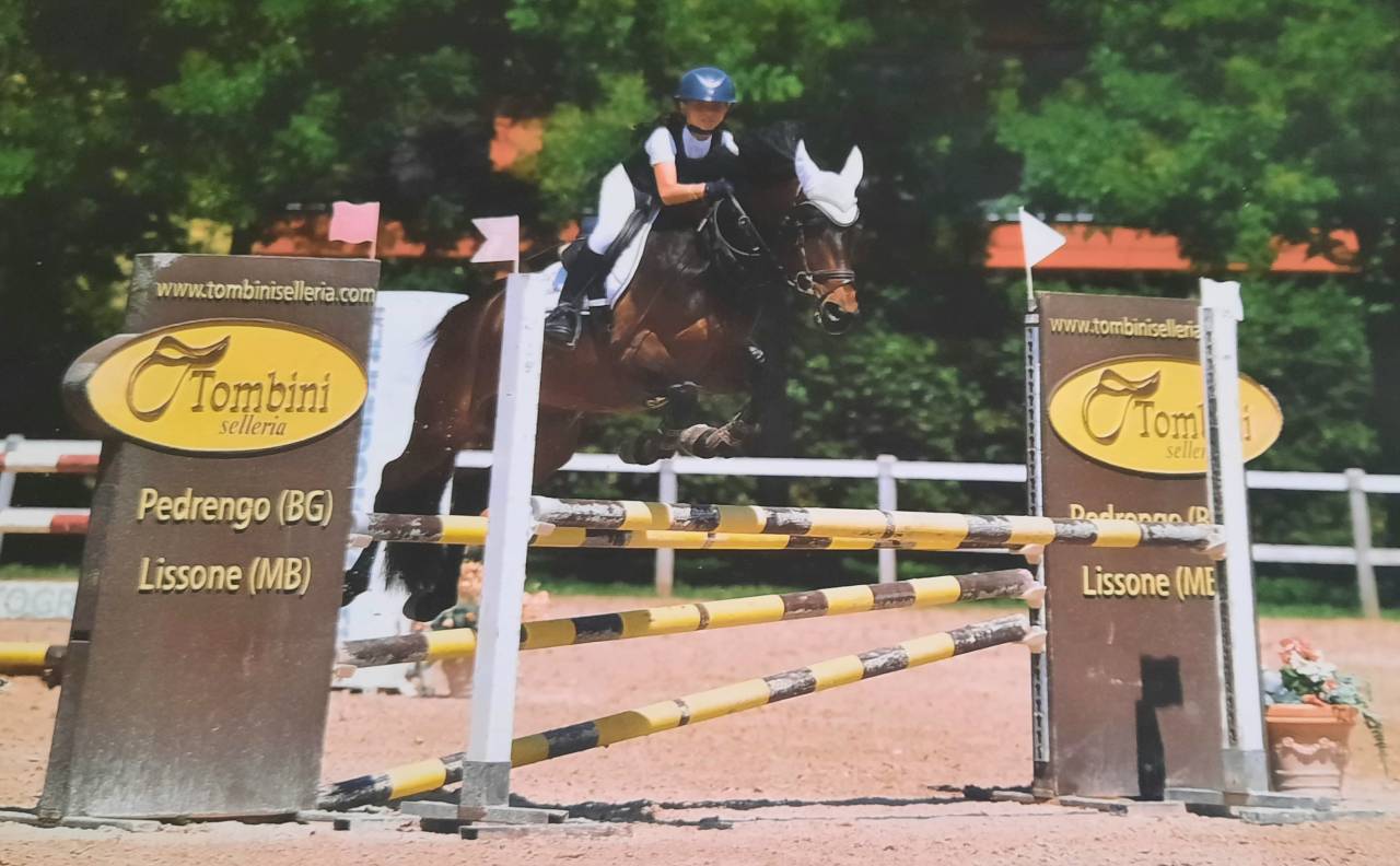 Ruin Engelse rijpony Te koop 2017 Bruin / Bai