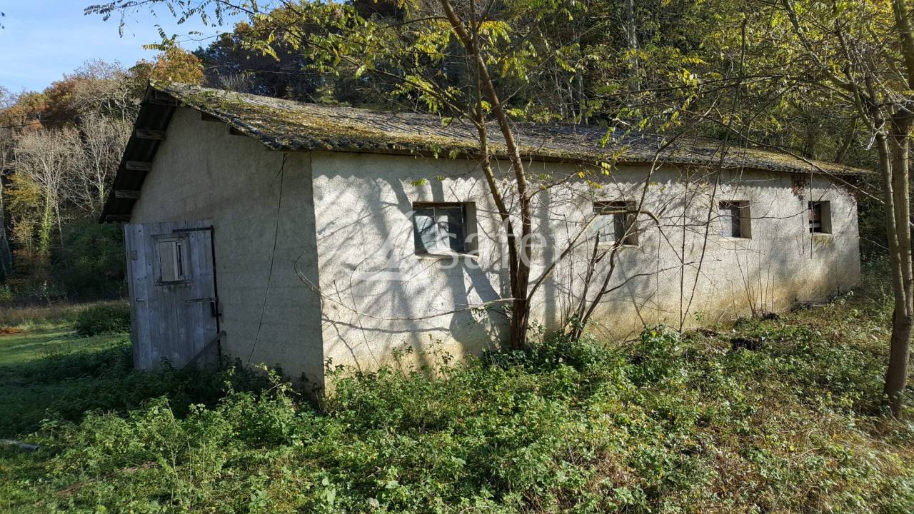 Schapen exploitatie Koop Hautes-Pyr&eacute;n&eacute;es