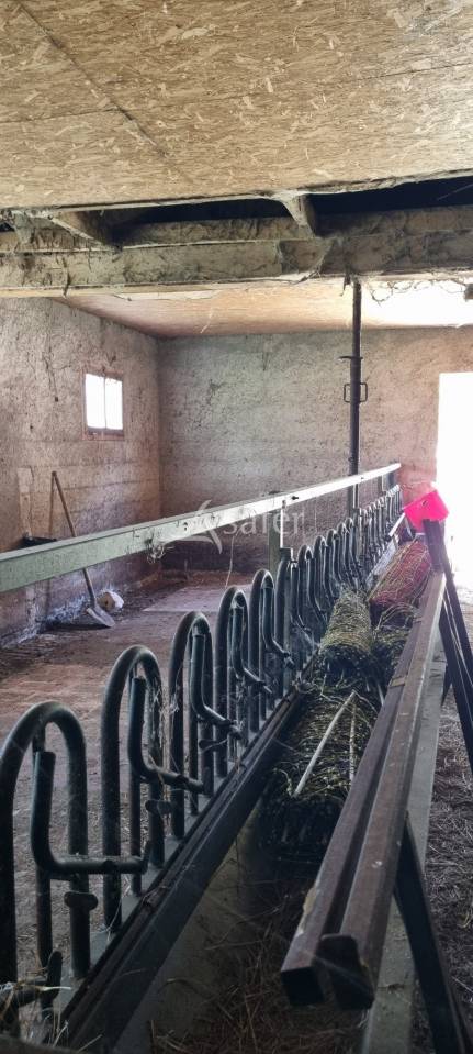 Schapen exploitatie Koop Hautes-Pyr&eacute;n&eacute;es