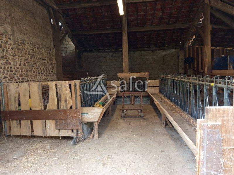 Schapen exploitatie Koop Hautes-Pyr&eacute;n&eacute;es