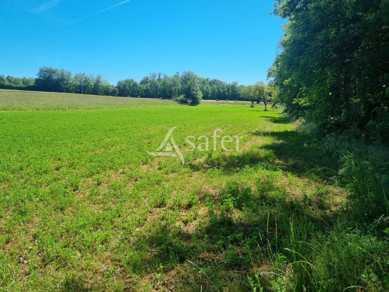 Ander plattelands vastgoed Koop Lot