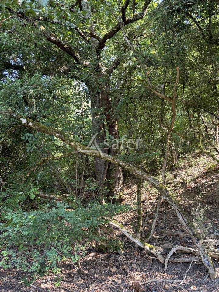 Landbouw bedrijf Koop Lot-et-Garonne