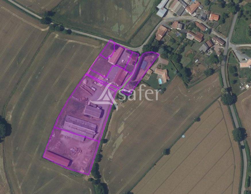 Varkens exploitatie Koop Vend&eacute;e