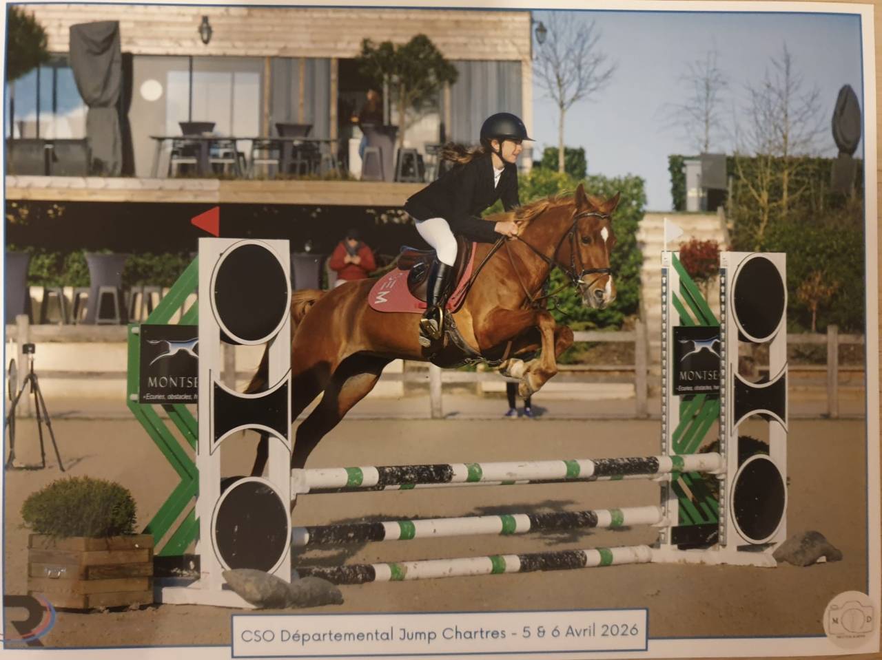 Merrie Welsh Partbred Te koop 2021 Vos