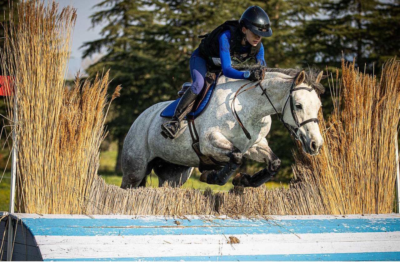 Merrie Connemara Te koop 2018 Schimmel