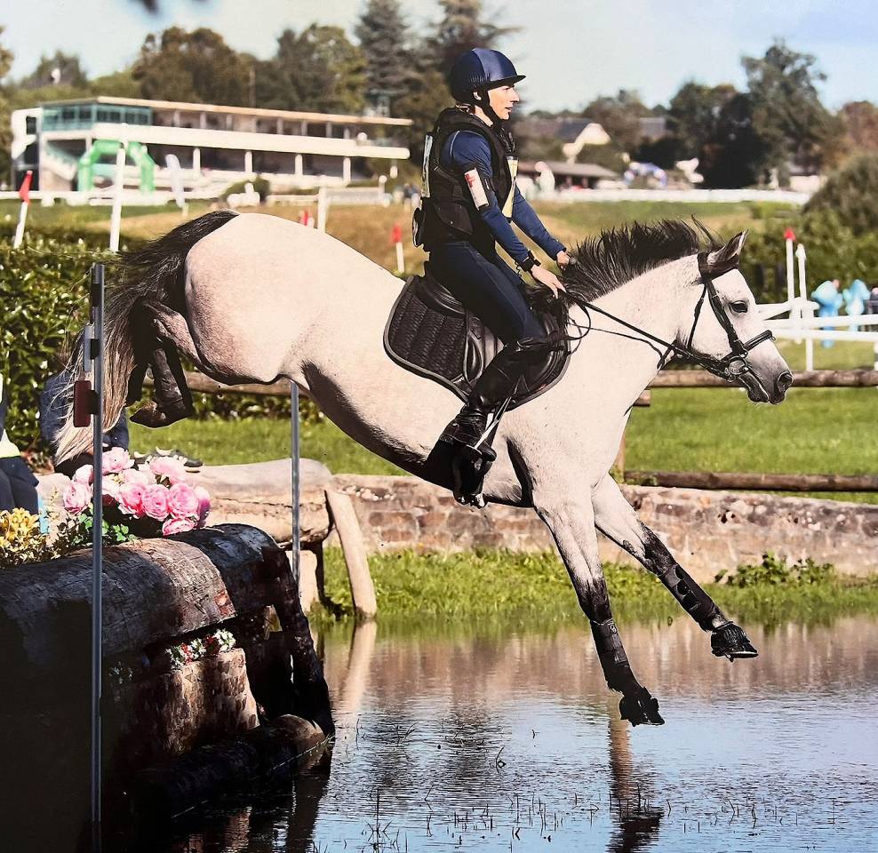 Merrie Connemara Te koop 2018 Schimmel