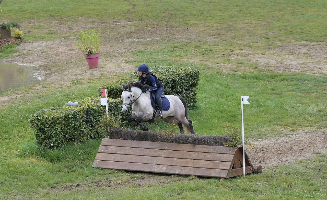 Merrie Connemara Te koop 2018 Schimmel