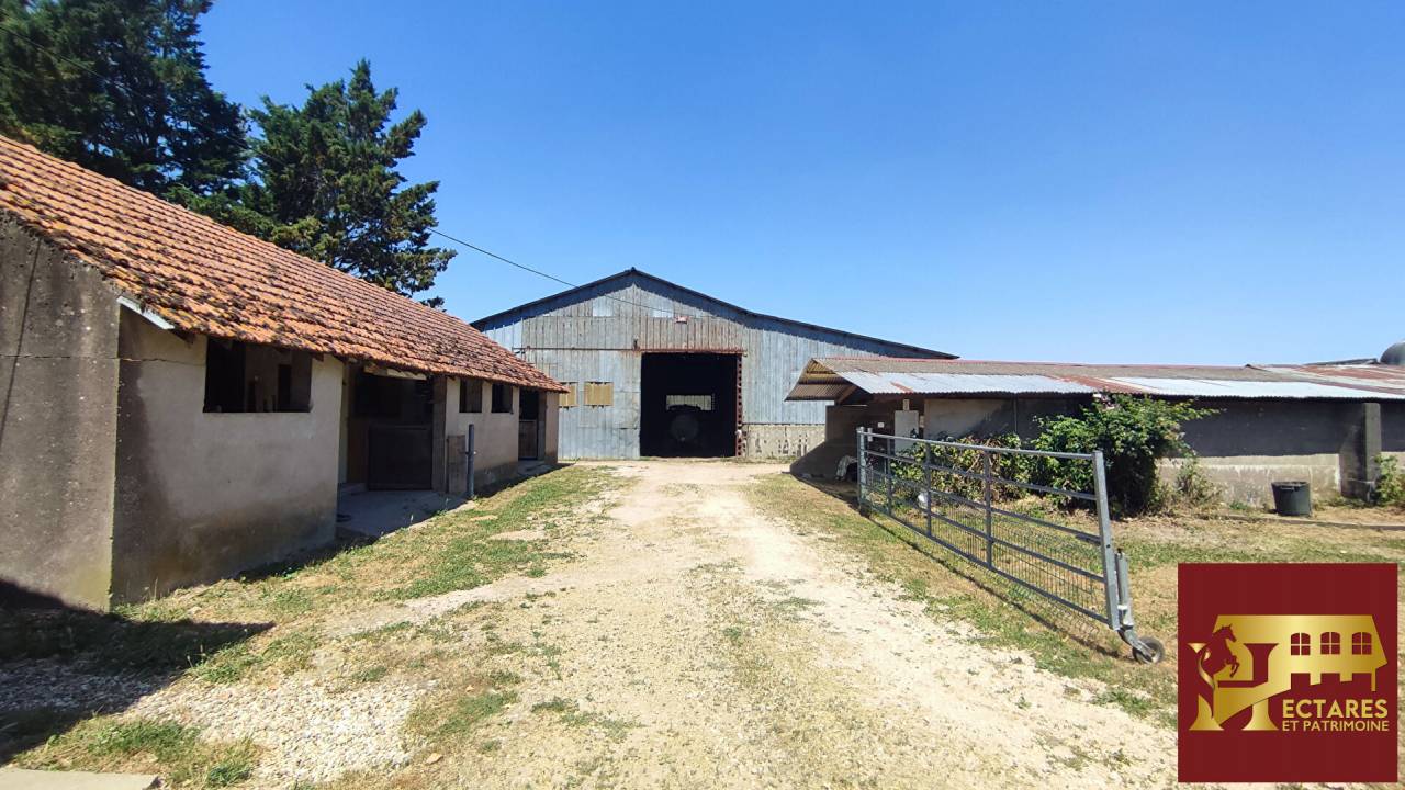 Eigenaren stal Koop Sa&ocirc;ne-et-Loire