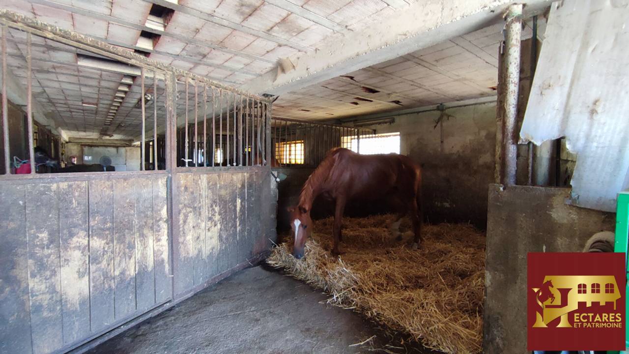 Eigenaren stal Koop Sa&ocirc;ne-et-Loire