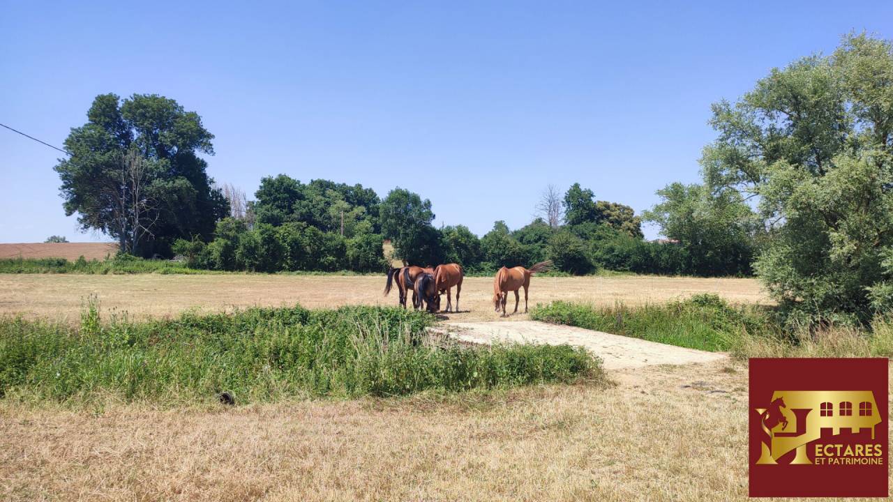 Eigenaren stal Koop Sa&ocirc;ne-et-Loire