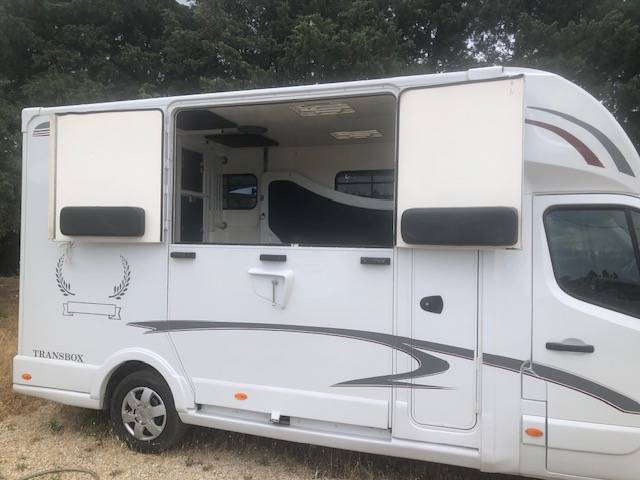 Kleine paardenvrachtwagen (B rijbewijs) Trans Box sv 5 2019 Tweedehands