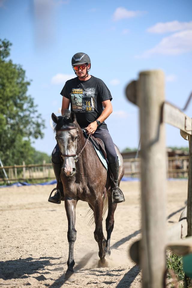 Ruin Volbloed Te koop 2021 Schimmel