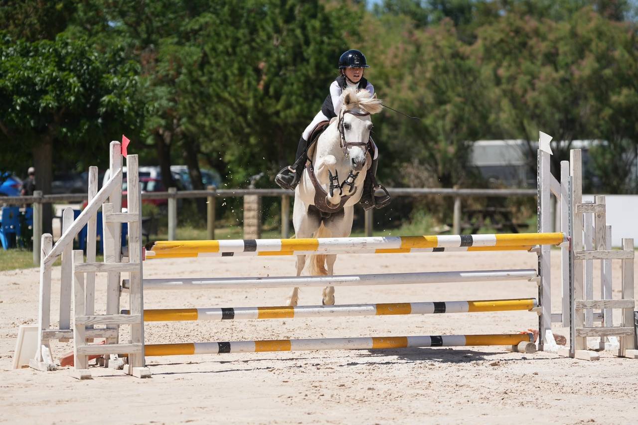 Merrie Bekend ras Te leen 2012 Schimmel