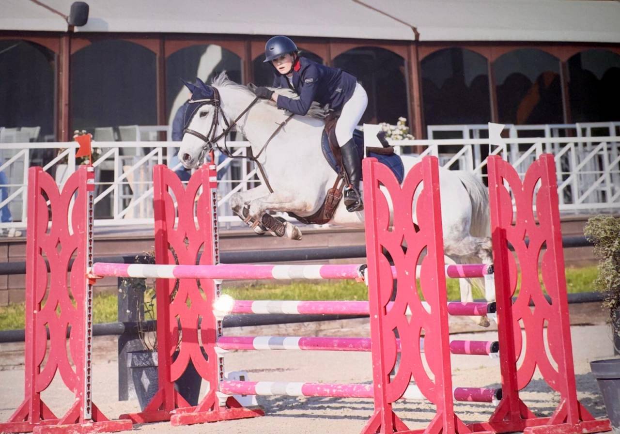 Ruin Franse rijpony PFS Te koop 2014 Schimmel