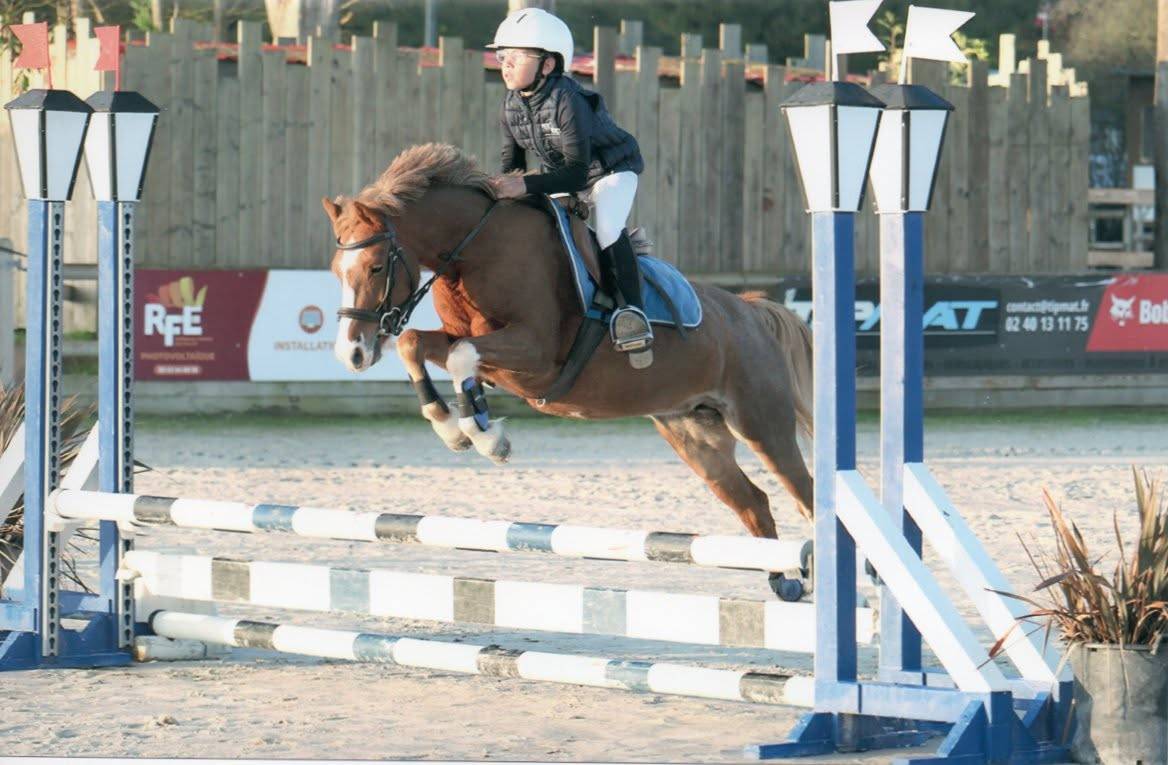 Merrie Ras onbekend Te koop 2013 Vos