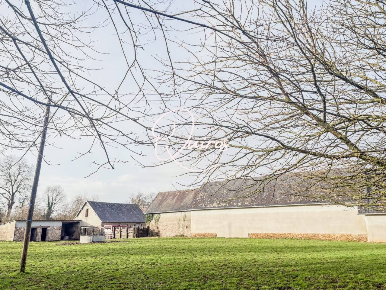 Hippisch vastgoed Koop Manche