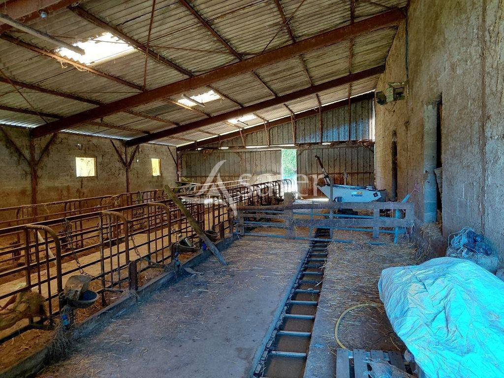 Landbouw bedrijf Koop Corr&egrave;ze