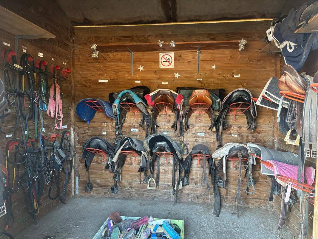 Hippisch vastgoed Koop Eure