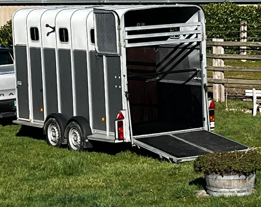 Paardentrailers Ifor Williams HB510XL Jumbo 3 Paarden 2017 Tweedehands