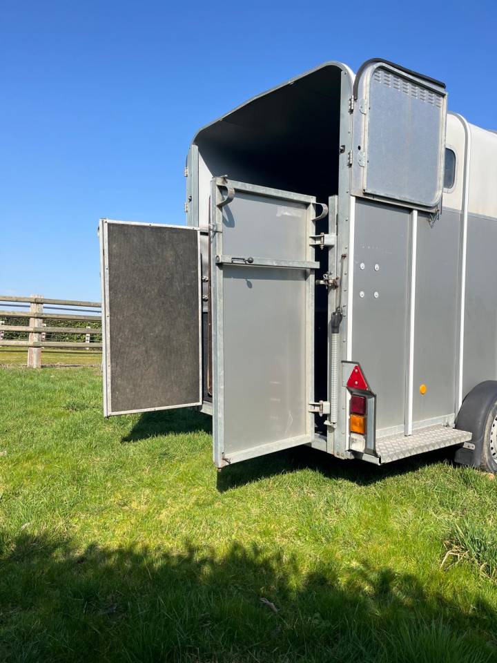 Paardentrailers Ifor Williams HB510XL Jumbo 3 Paarden 2017 Tweedehands