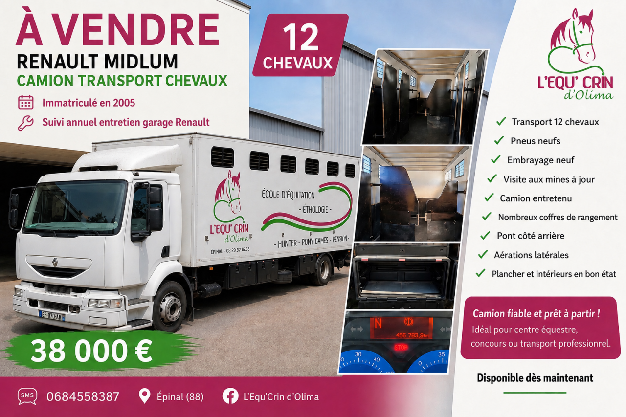 Zware paardenvrachtwagen (groot rijbewijs) Renault MIDLIUM 2005 Tweedehands