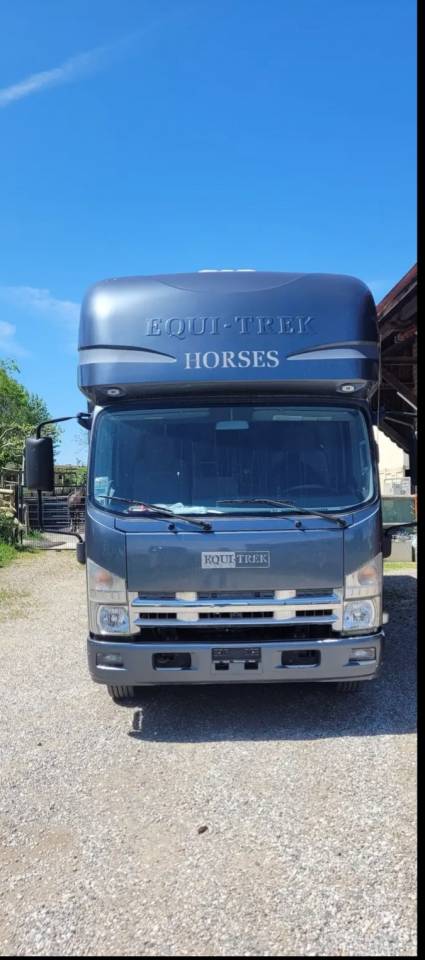 Zware paardenvrachtwagen (groot rijbewijs) Isuzu Equitrek 2025 Tweedehands