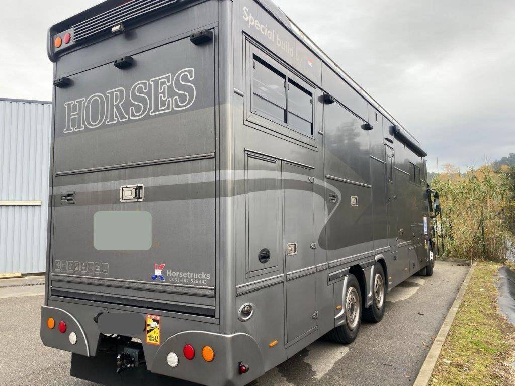 Zware paardenvrachtwagen (groot rijbewijs) Mercedes Mercedes Actros JK 2008 Tweedehands