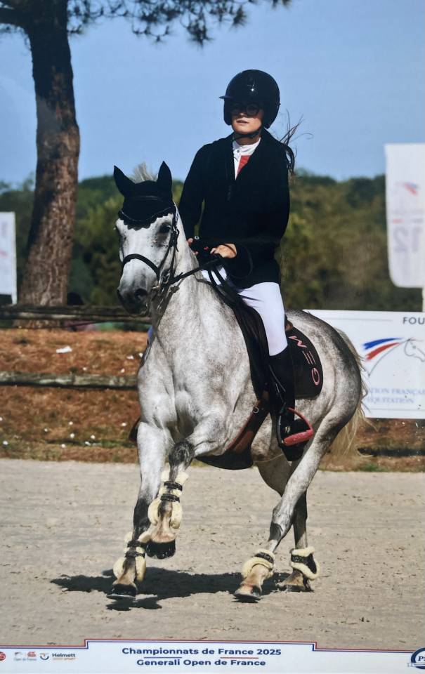 Merrie Franse rijpony PFS Te koop 2017 Schimmel