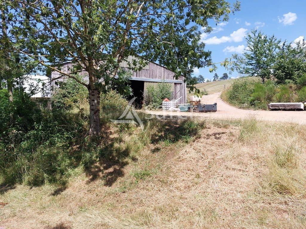 Landbouw bedrijf Koop Haute-Vienne